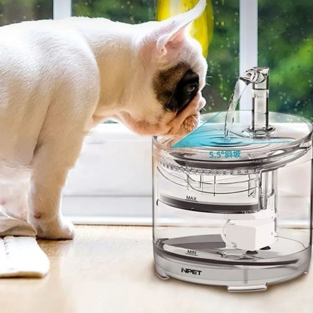 BEBEDERO CON SENSOR PARA MASCOTAS