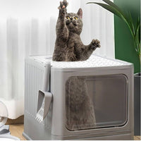 ARENERO PARA GATOS