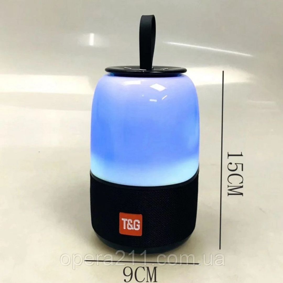 PARLANTE BLUETOOTH - T&G-608